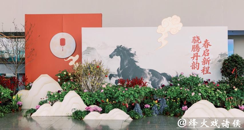 姚黄魏紫首度同框，高山秘境漫游绮鹃！辰山迎春花展2月16日启幕，属马免费