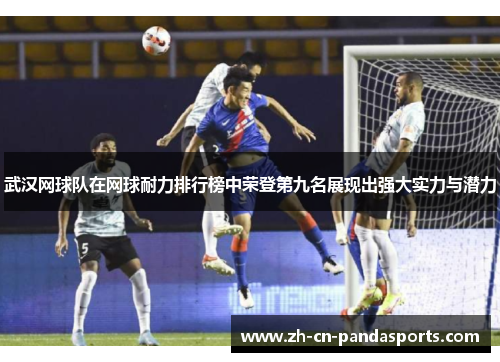 武汉网球队在网球耐力排行榜中荣登第九名展现出强大实力与潜力